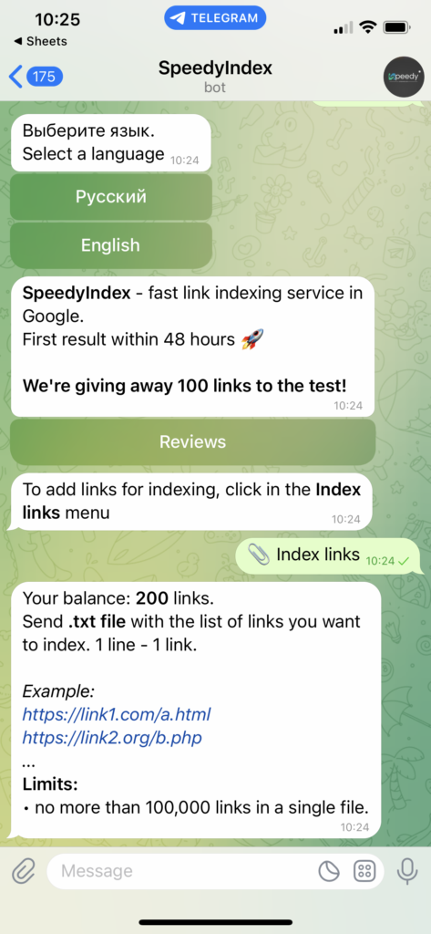 SpeedyIndex 2